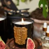 Holland Cooper Single Wick Candle Figue Noir Online